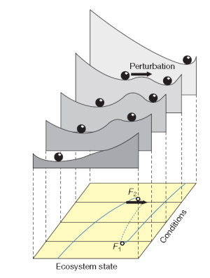 Figura 2. Representação do efeito de condições externas em uma paisagem de estabilidade. O painel amarelo representa os pontos de equilíbrio estáveis (fundos de vale, linha contínua) e instáveis (picos entre vales, linha pontilhada) para as diferentes condições ambientais. F1 e F2 representam os pontos em que as transições críticas do sistema ocorrem e a flecha representa a perturbação que gera a transição. Fonte: [4].