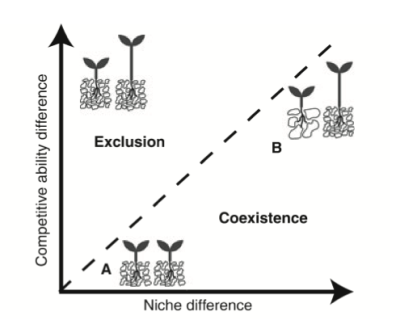 Figura 1. Segundo a Teoria Moderna da Coexistência [1], a coexistência é possível quando as diferenças de nicho (mecanismos estabilizadores) contrabalanceam ou superam as diferenças na capacidade competitiva (diferenças de fitness) entre as espécies (retirada de [9]).