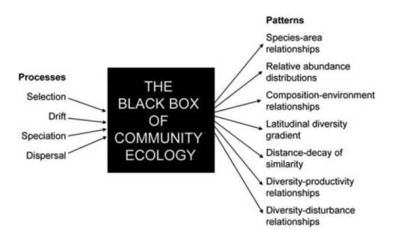 Fig. 1 - “Caixa preta da ecologia” de Vellend (2010).