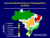 Domínios Morfoclimáticos e fitogeográficos do Brasil