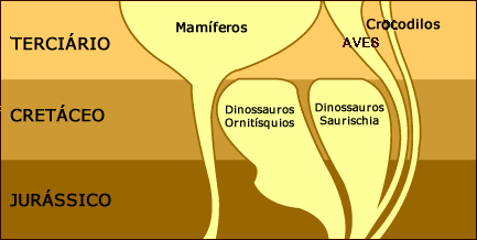 A extinção dos dinossauros no final do Cretáceo pode ter permitido que a radiação dos mamíferos