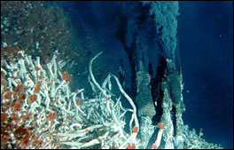 Foto fontes hidrotermais