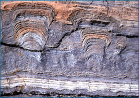 seção transversal de estromatólitos fósseis