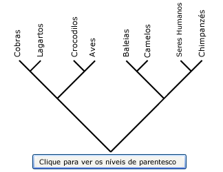ilustração cladograma mostrando hierarquias aninhadas