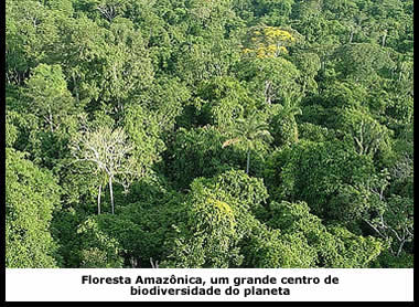 A floresta amazônica é um grande centro de biodiversidade. Sua preservação é fundamental para o avanço das ciências em diversas áreas.