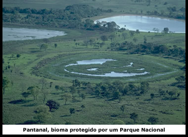Parque Nacional do Pantanal Matogrossense