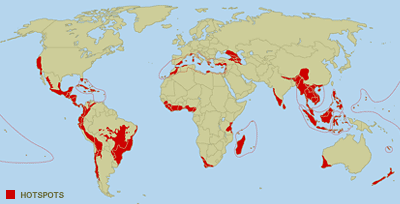 Em vermelho, são mostrados alguns dos principais "Hot spots" do Planeta
