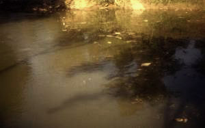 Poluição da água no Rio Alagado, em Goiás. Essa foto é do ano de 1991.