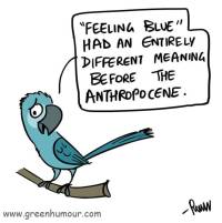  Note that this is hyacinth's macaw (also) endangered cousin -- Spix's Macaw // image created by Rohan Chakravarty from [[https://www.greenhumor.com]]