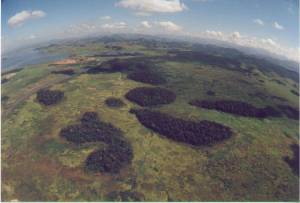 Ilhas dos Barbados - Reserva Biológica Poço das Antas. Foto: Ernesto Viveiros de Castro. http://www.biologia.ufrj.br/labs/lecp/linhas.htm 