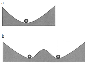 Figura 1. Paisagens de estabilidade para sistemas com um estado de equilíbrio (a) ou dois estados de equilíbrio alternativos (b). A bola representa o sistema; a posição da bola, o estado do sistema e a inclinação na paisagem, a taxa de mudança do sistema. Assim, onde a inclinação é nula o sistema se encontra em equilíbrio. Um vale pode também ser chamado de bacia de atração, pois o sistema é atraído pelo equilíbrio no fundo do vale. Modificado de [1].