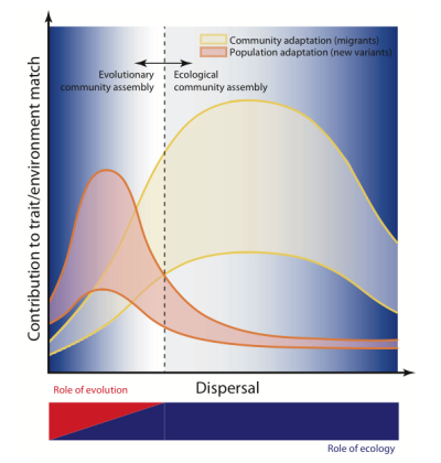 Figura 2. Relação entre o ajuste atributo-ambiente e a dispersão em populações e comunidades e sua consequência na montagem de comunidades. Aqui, a dispersão é usada como exemplo de processo que atua na estrutura da comunidade por duas vias distintas: a evolutiva e a ecológica, que diferem na intensidade do processo em que apresentam maior efeito (retirada de [20]).