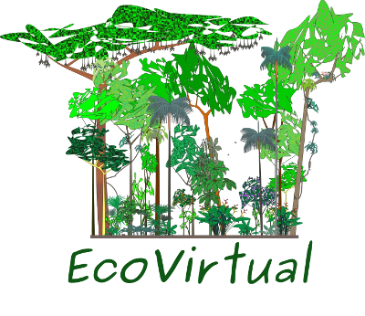 Ecologia Virtual