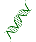 ícone DNA