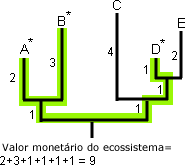 Passo 3 cladograma e valor da moeda