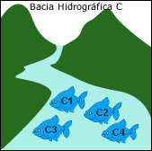 Bacia do Rio C