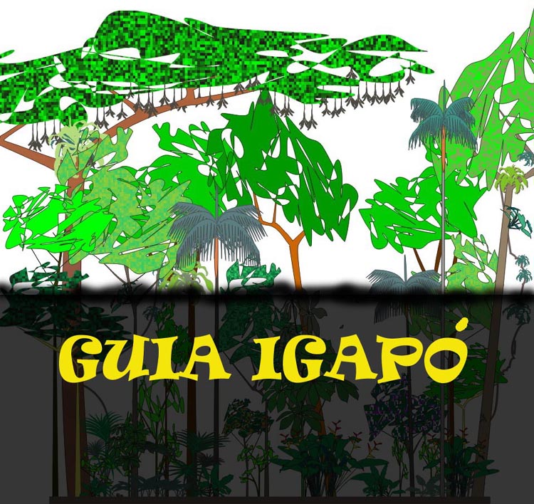 Logo Igapo