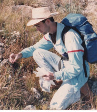 Sampling flowerheads to rear tephritids, Serra do Cipó, Minas Gerais, 1989