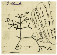 Caderno de Notas de Darwin  