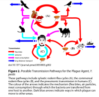  https://journals.plos.org/plosmedicine/article?id=10.1371/journal.pmed.0050003