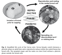  Rosenkranz et al. 2010